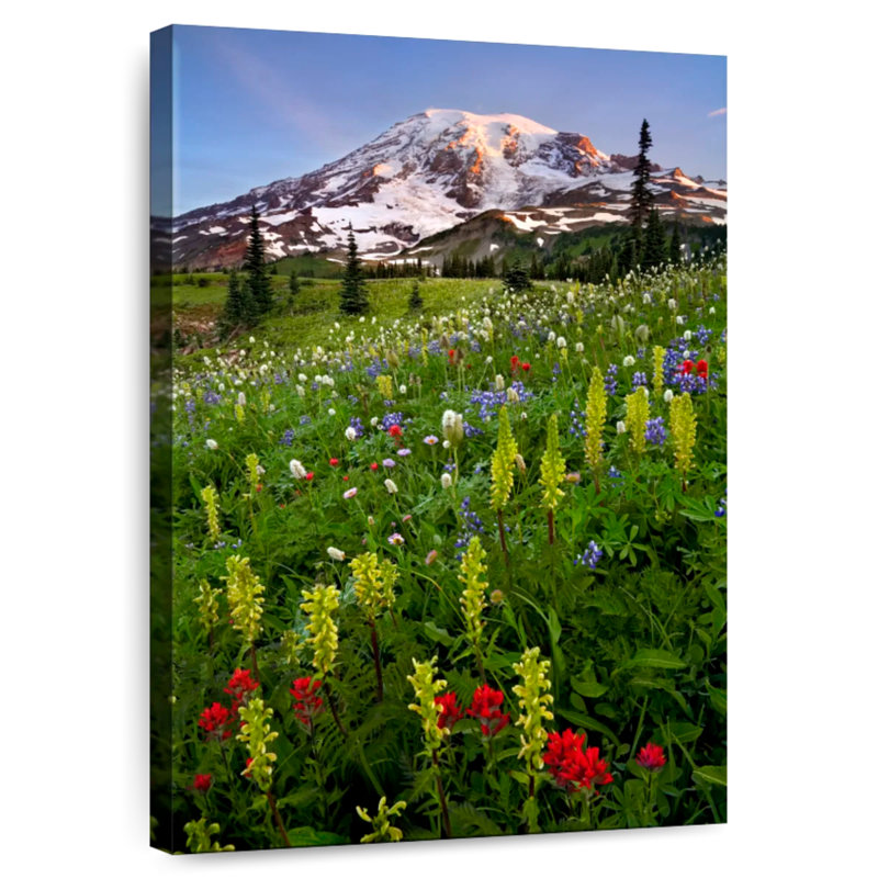 Alvord Mount Rainier Wildflowers, H 12 po x l 8 po