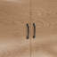 187 cm H Standard Pantry / Tall Cabinet-124977939