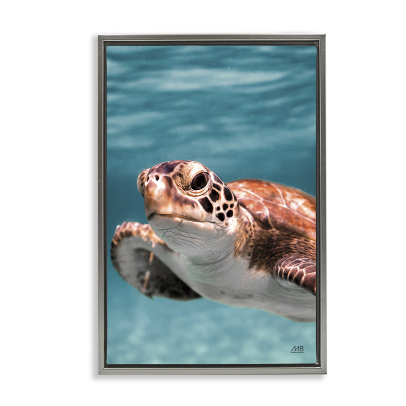 Tortue de mer sous l'eau, toile flottante de Max Blakesberg Studios, Cadre flottant gris lustré, H 31 po x l 21 po