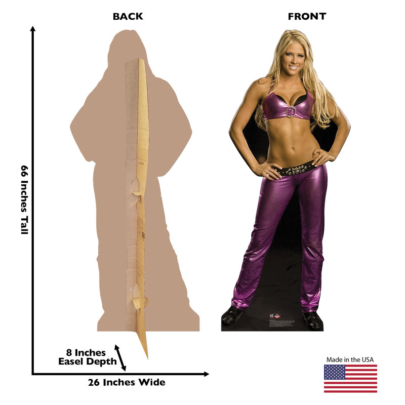 69 in. WWE Cardboard Standup