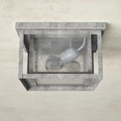 Vermont Seeded Square Outdoor Flush Mount