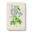 Illustration Of Lilac Rosemallow Flowers - Wrapped Canvas-55362912