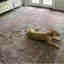 Customer photo 6 of 6