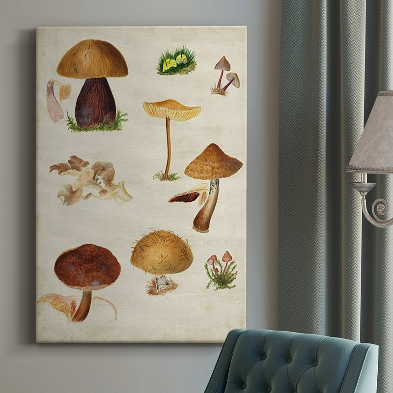 Peinture sur toile Mushroom Species II, H 12 po x l 8 po x P 1 po