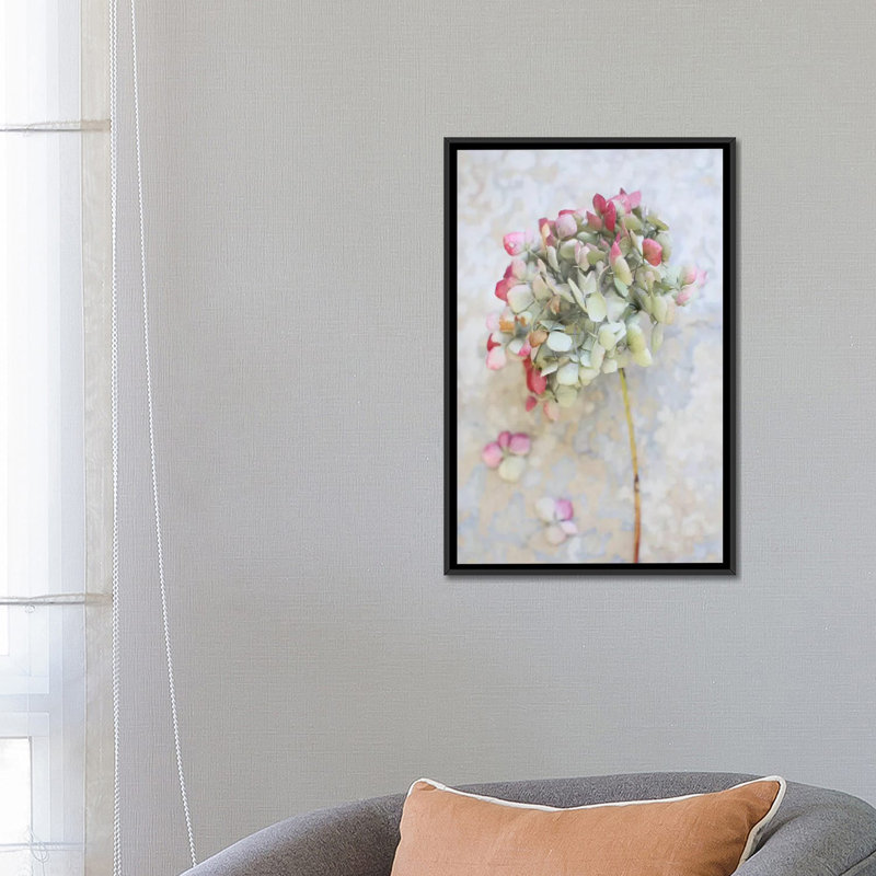 «Hydrangea pastel séché I», reproduction sur toile, H 26 po x l 18 po x P 1,5 po, Toile avec cadre noir, Pas de tapis