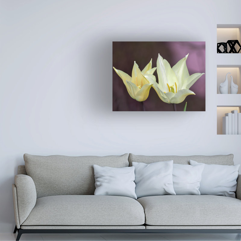 Art sur toile «bolaire Suzanne Bonin», H 14 po x l 19 po