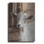 «Grey Goat» par Lori Deiter-1852760938