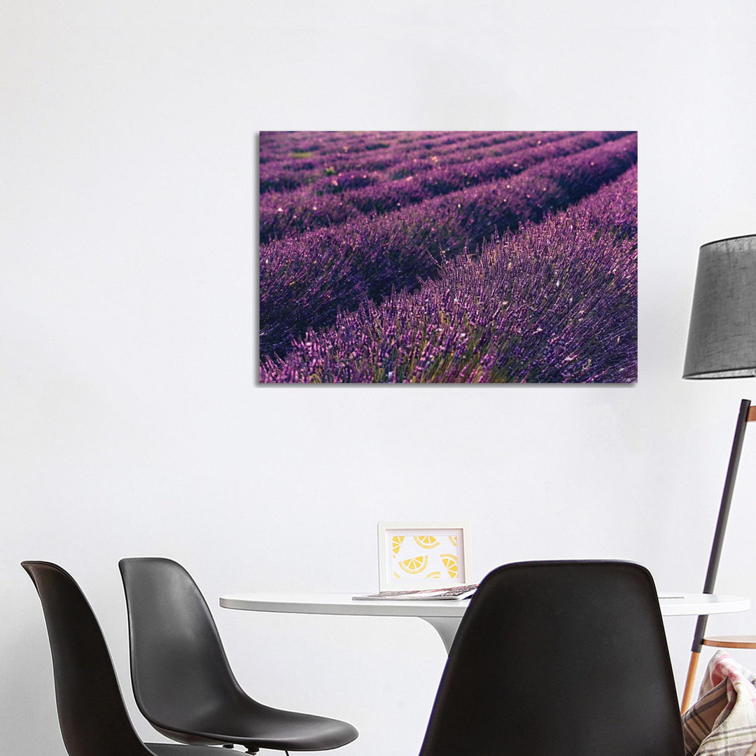 Lavendel-Symphonie I von Stefan Hefele - Leinwand-Giclée mit Galerieeinband