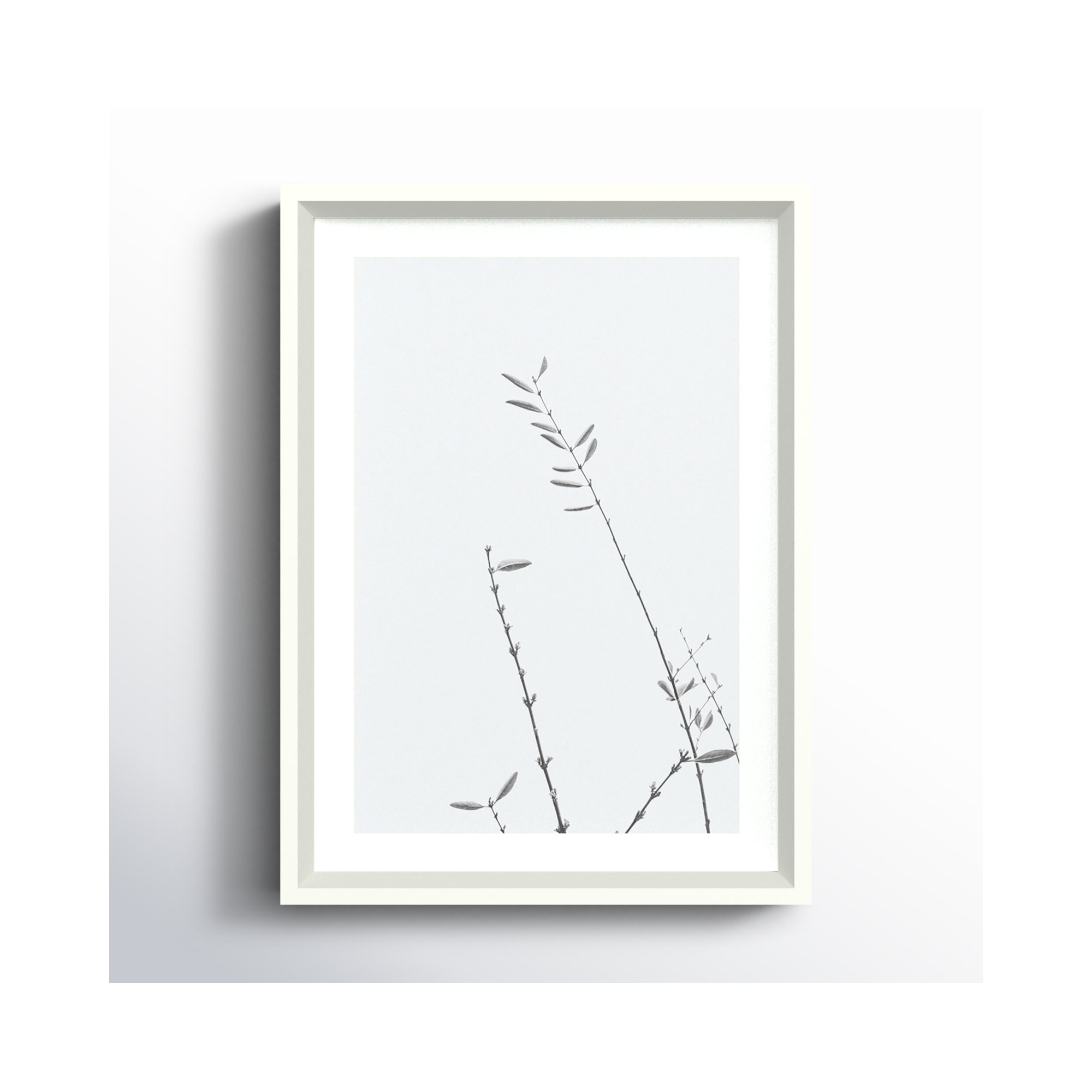 Retro Tennessee Botanical Print No 3 by Stephanie Klatt, 17" H x 12" W x 2" D, White