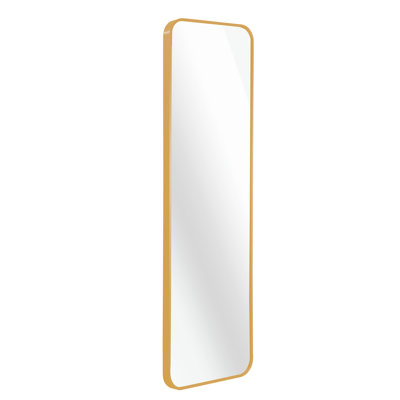 Gold 47 X 14IN Door Mirror.