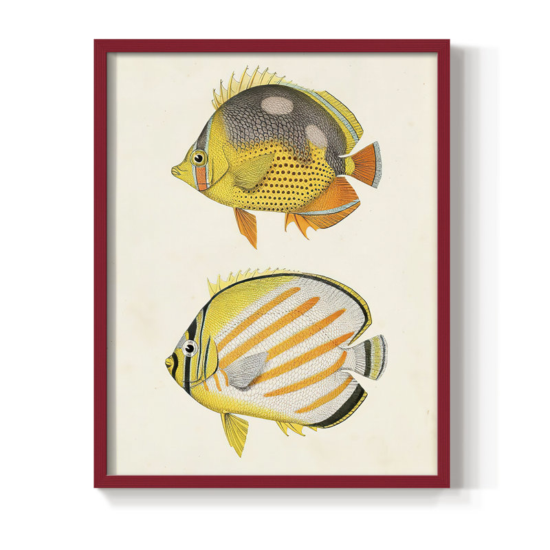 «Yellow & Gray Fish IV», reproduction encadrée - bois massif, Rouge, H 10 po x l 8 po