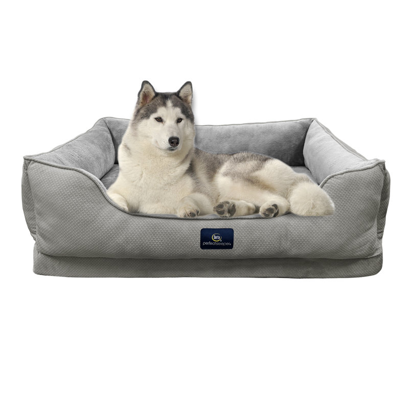 Lit pour chien Serta Ortho Cuddler, Gris, H 10 po x l 46 po x P 34 po