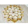 Pettingill Floral Indoor Rug