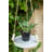 Koeppe Ceramic Hanging Planter