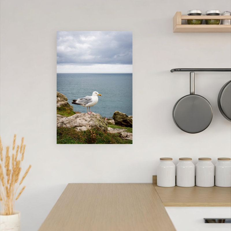 Print, 45.72cm H x 30.48cm W