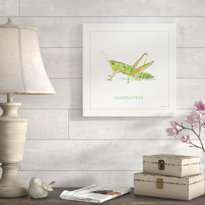 " My Greenhouse Grasshopper "
