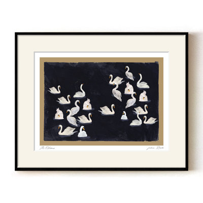 The Swans – A Graceful Assembly of White Swans on Deep Midnight Waters | 24"H x 32"W | Black Frame
