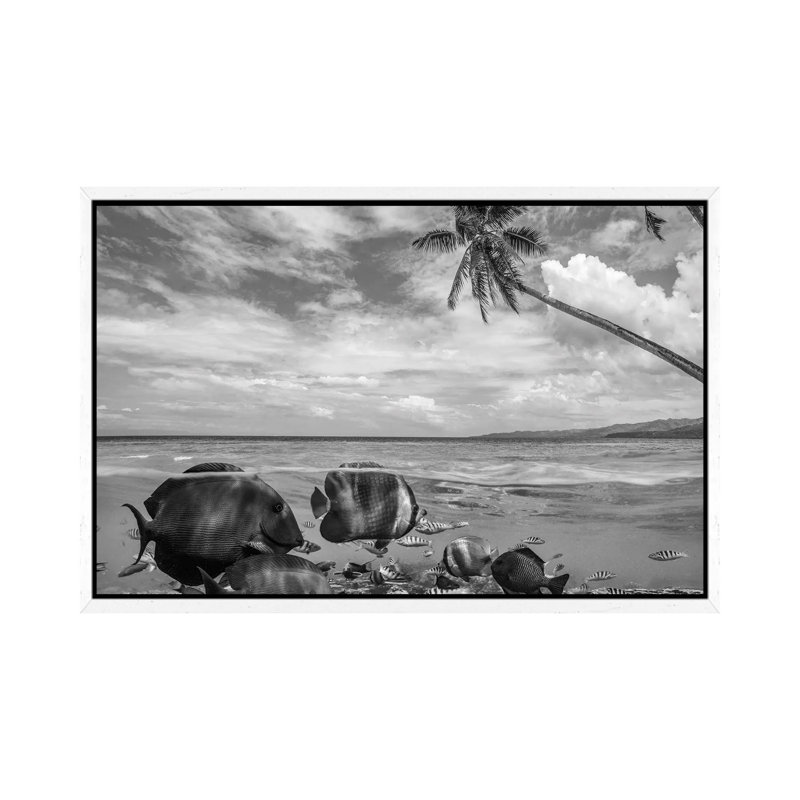 Butterflyfish mixed group near beach, Siquijor Island, Philippines, composite image 1 Piece Wall Art on Canvas, White Framed