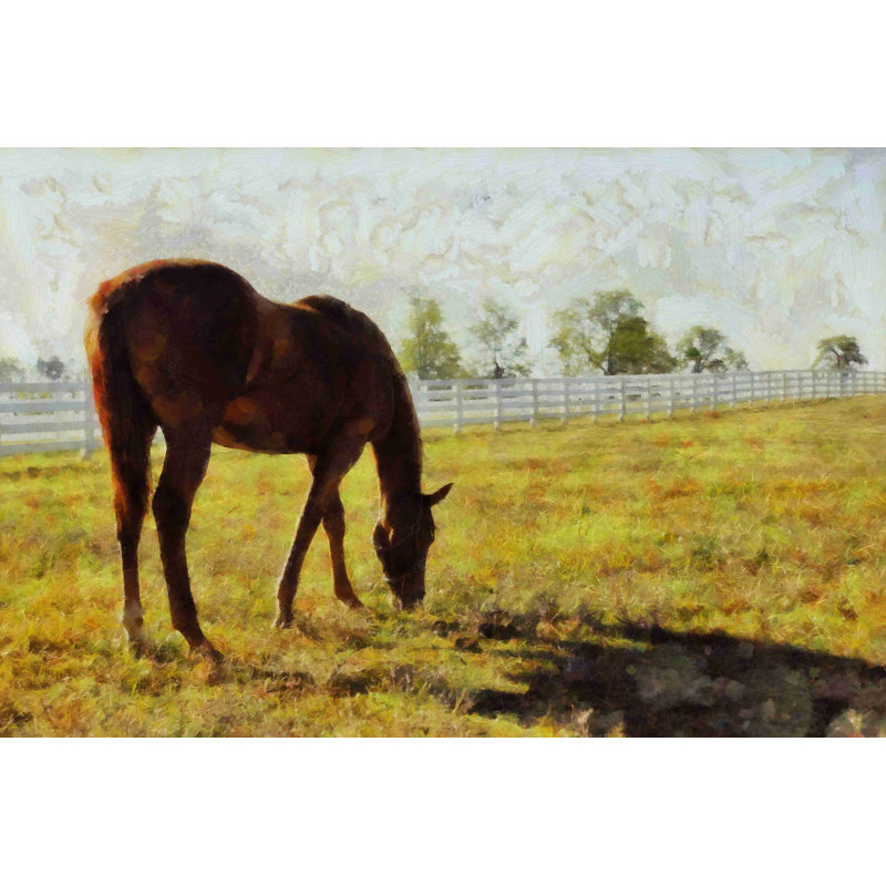 «Painted Grazing Brown Horse», reproduction d'art sur toile tendue, H 8 po x l 12 po