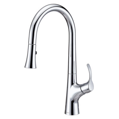 Antioch Pull Down Single Handle Kitchen Faucet