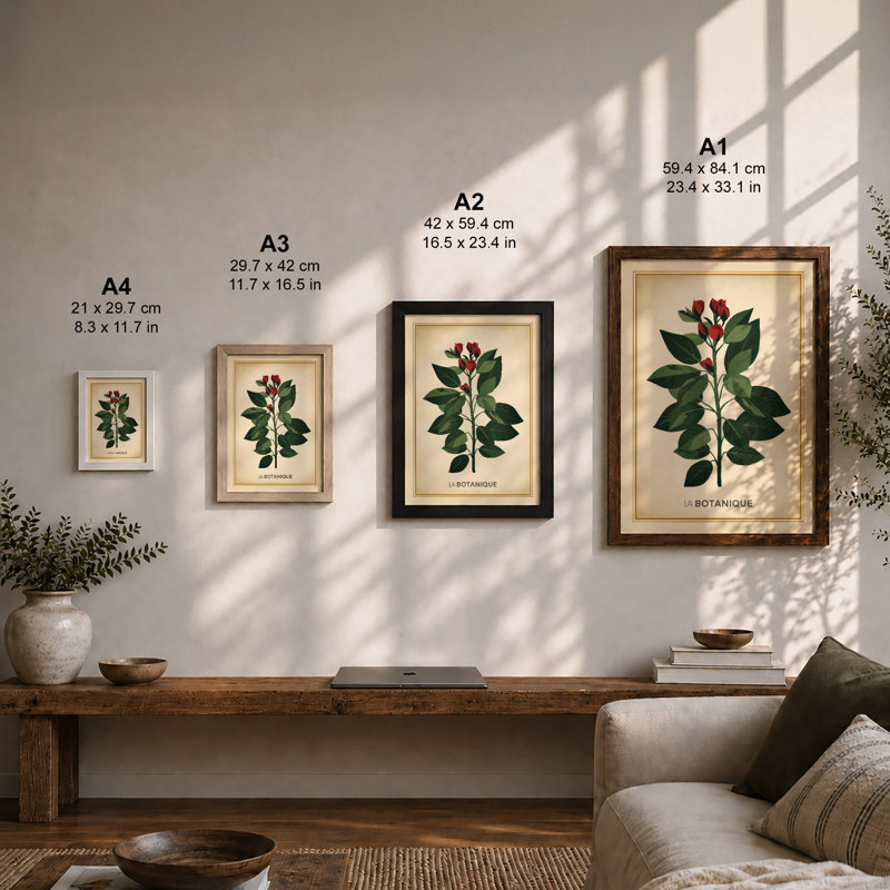Specimen Botanical - Print, Unframed, A1 - 84.1 x 59.4 cm