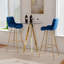 Ensemble de salle à manger 3 pièces avec tabouret de bar et tabouret de bar en velours (ensemble de 3)-299652499-270729097