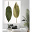 "Leaf Study 05" par Shot