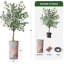 Arbre artificiel dans un pot de fleurs moderne, faux arbre en soie d'eucalyptus (décoration en pot et arbre)-1378564217-1405888083