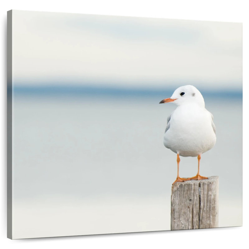 Brampt Perched White Seagull, 36" H x 36" W