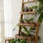 Vitrine Modern