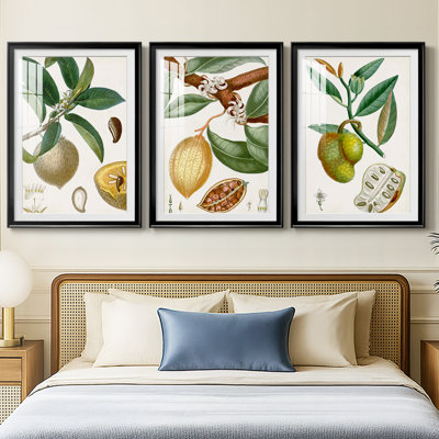 Turpin Tropical Fruit I - Impression personnalisée de qualité supérieure avec cadre mat - 3 pièces