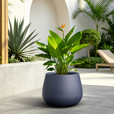 Grand pot à fleurs rond en béton gris anthracite de 14,5 po avec trous de drainage pour l'intérieur et l'extérieur