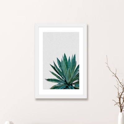 " Agave Cactus "
