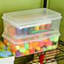 Sterilite Crate