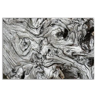 Driftwood - Wrapped Canvas Print