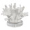 Tidecrest Coral Sculpture On Acrylic Base