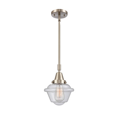 Luminaire suspendu simple à 1 lumière