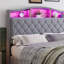 Bed-129994408