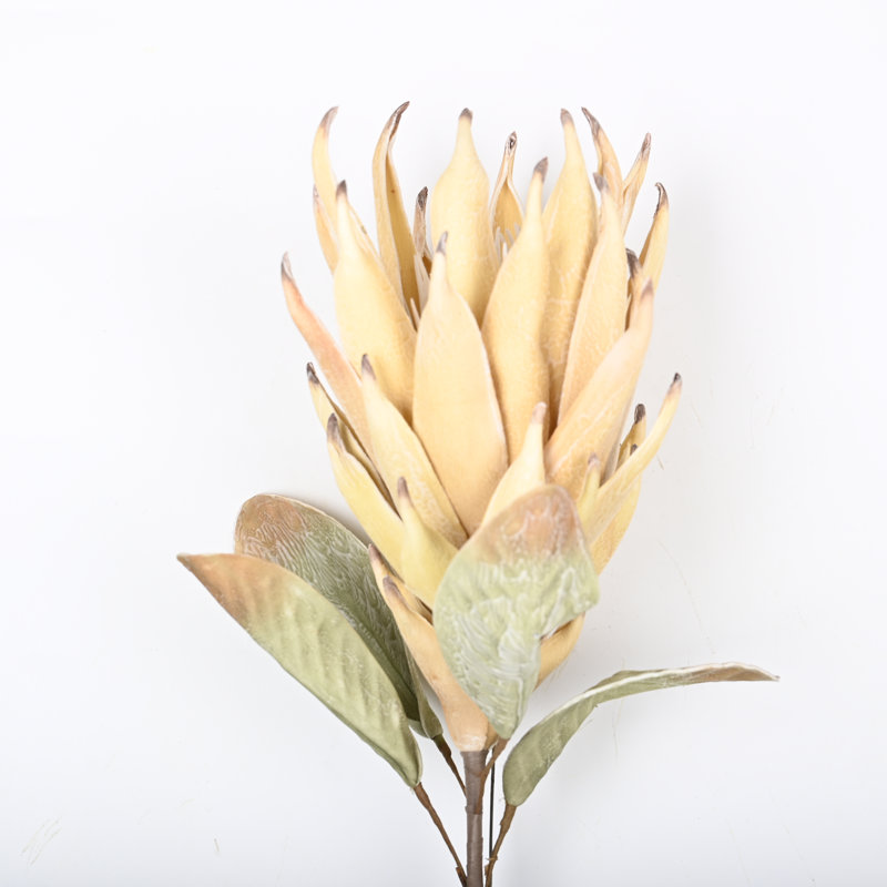 Protea Cynaroides, arrangement floral, longue tige, Beige