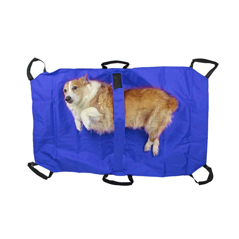 Grand transporteur pour animaux de compagnie à 6 poignées
