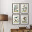 «Pastel Birds I», ensemble de 4 reproductions de cadres photo-1266957734-1266957738
