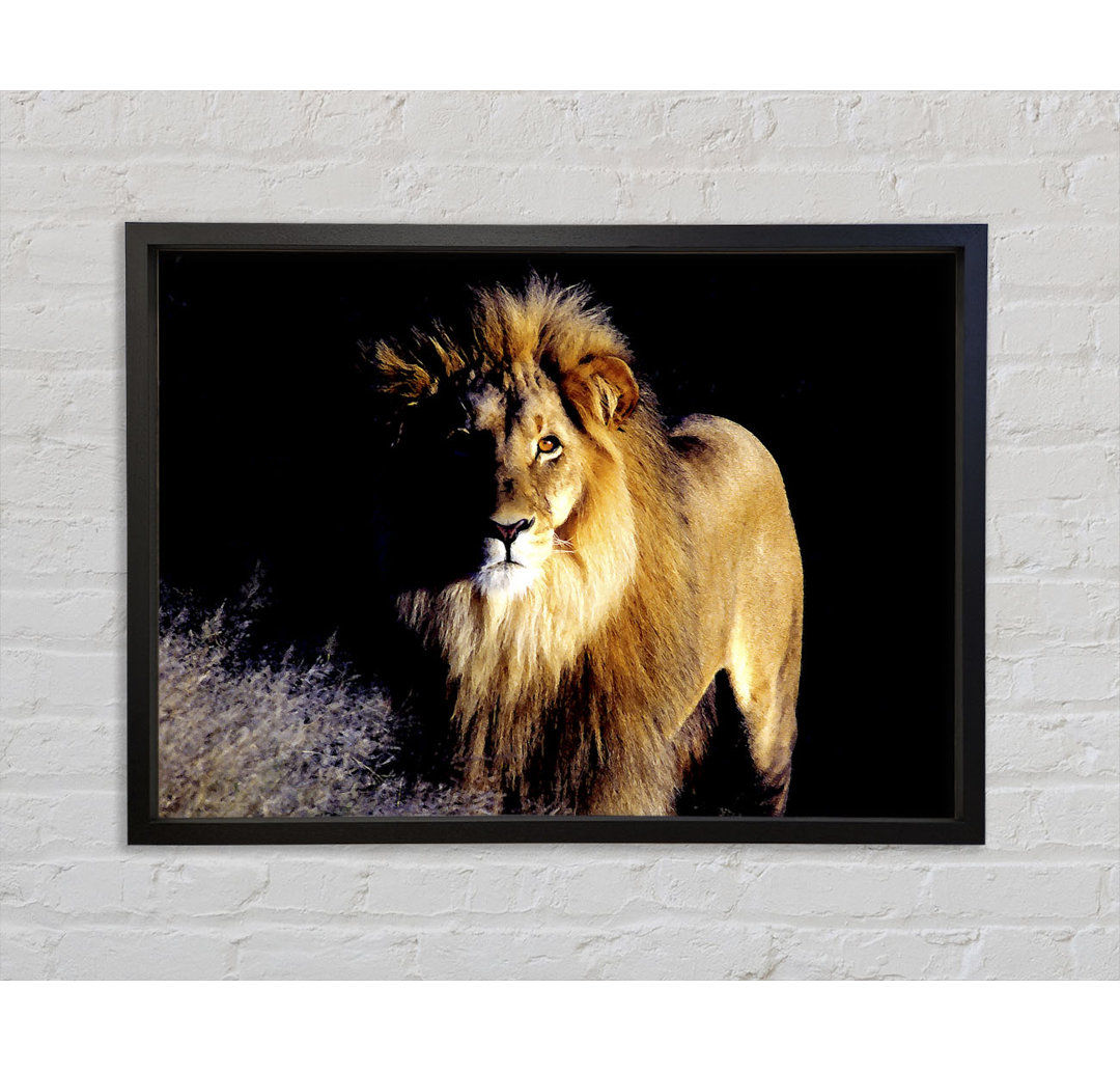 Lion Watch - Drucken