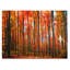 « domined » par philippe sainte-laudy, reproduction de photo sur toile tendue-11811082