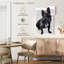 Bouledogue français Brampt-108426513