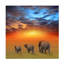 «The Futur is Bright» par Ben Heine - reproduction de photo sur toile tendue-2078072869