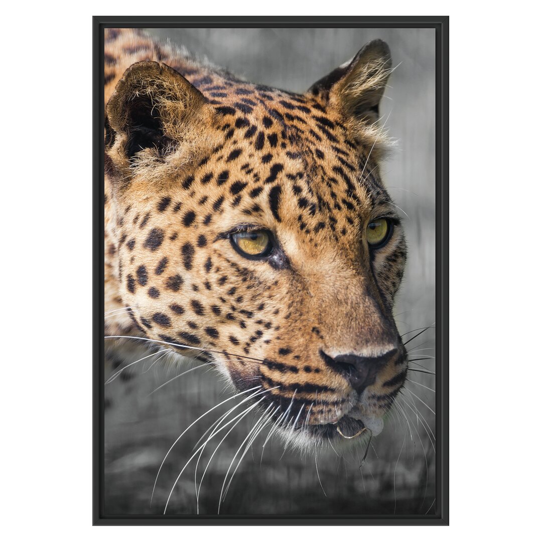 Gerahmtes Wandbild Stalking Leopard