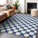  Colturo Area Rug