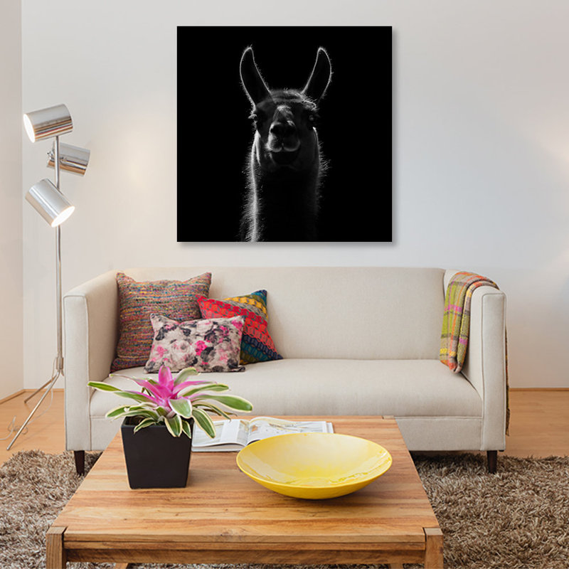 « llama », impression sur toile, H 12 po x l 12 po x P 1,5 po, Pas de tapis, Toile tendue