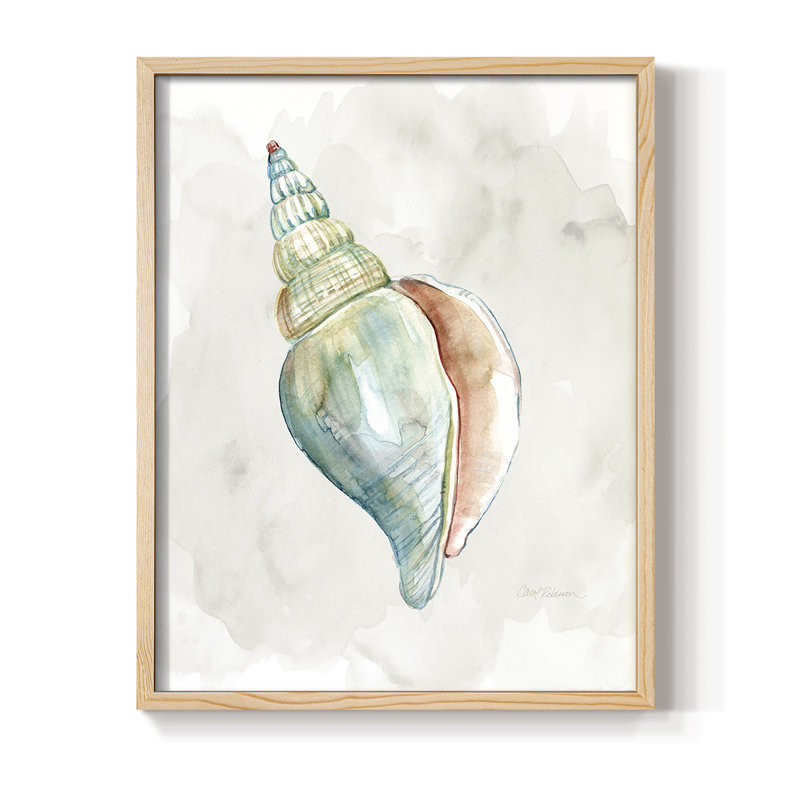 «Pastel Shell II», reproduction encadrée - bois massif, Naturel, H 11 po x l 9 po