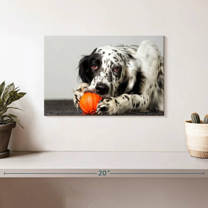 Chien avec jouet orange, H 8 po x l 12 po